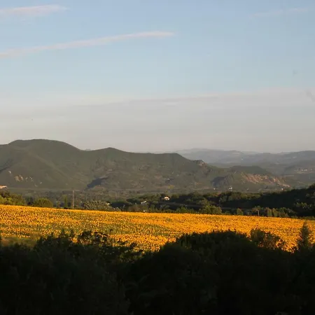 Les Vergers De La Bouligaire *